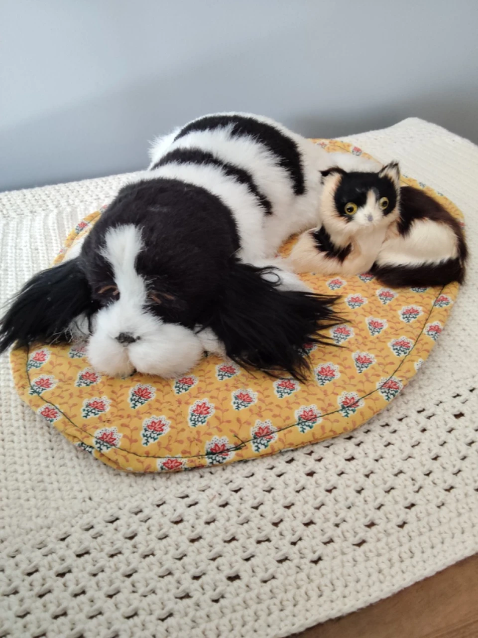 Chien et chat sur tapis vintage